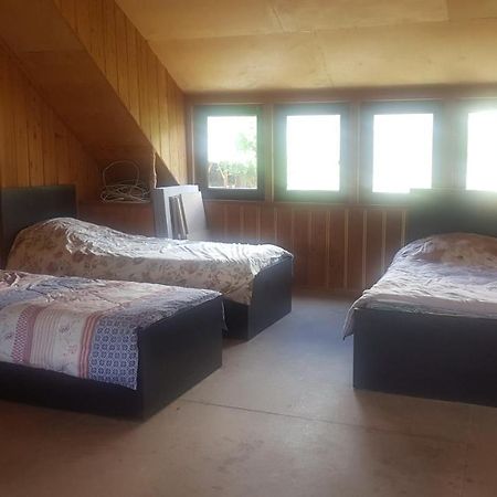 Hostel The Misty Mountains Местия Екстериор снимка