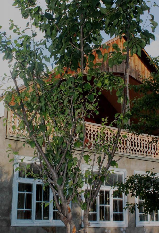 Hostel The Misty Mountains Местия Екстериор снимка